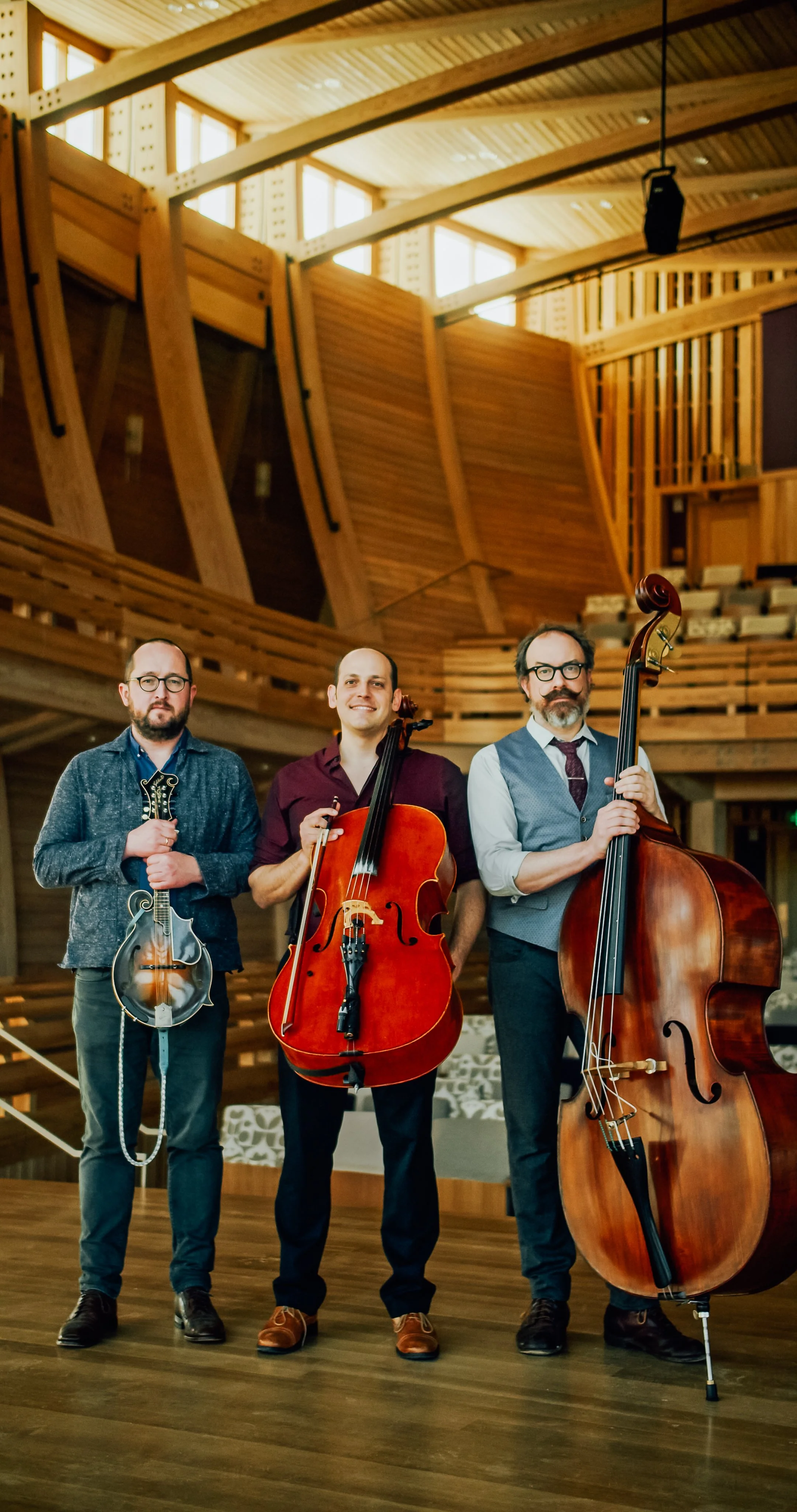 Mike block cello deals